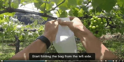 subtitle-en.gif