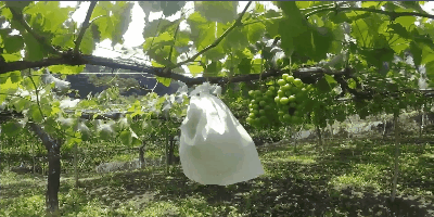 Videotogif__1_.gif